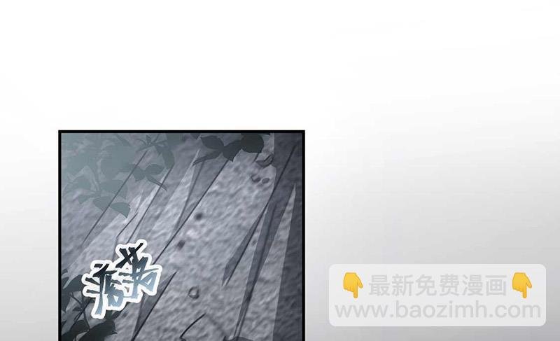 第119话 再遇泥石流