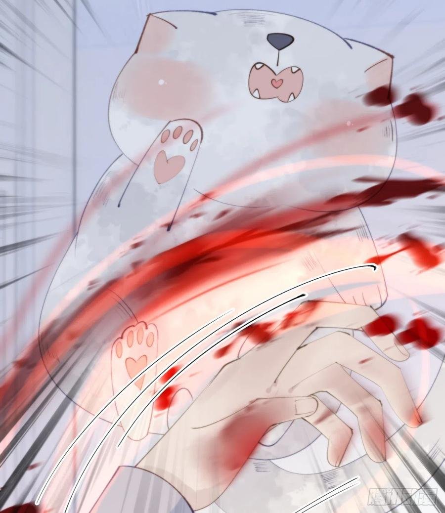 95.妖丹