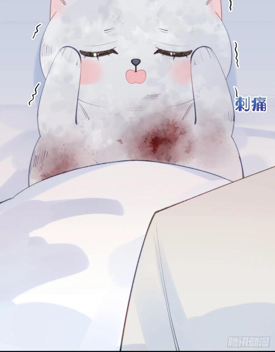 96.这就带你回家