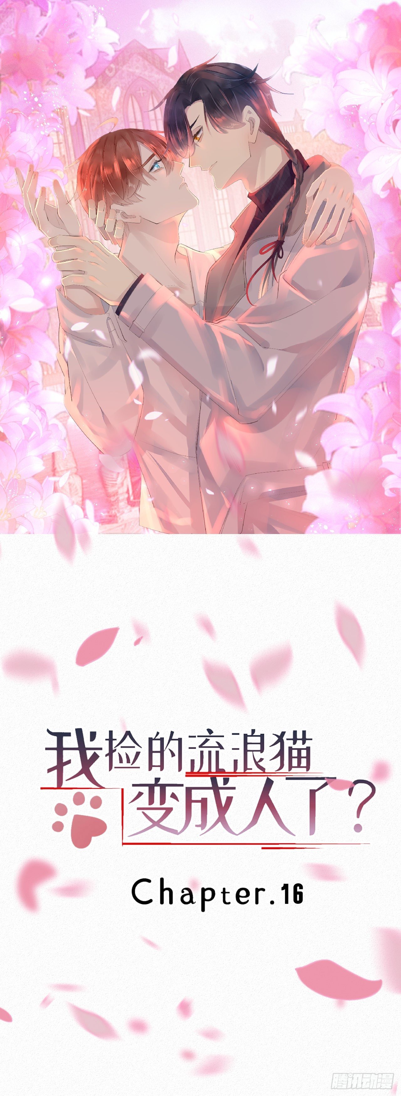 16.英喵救美