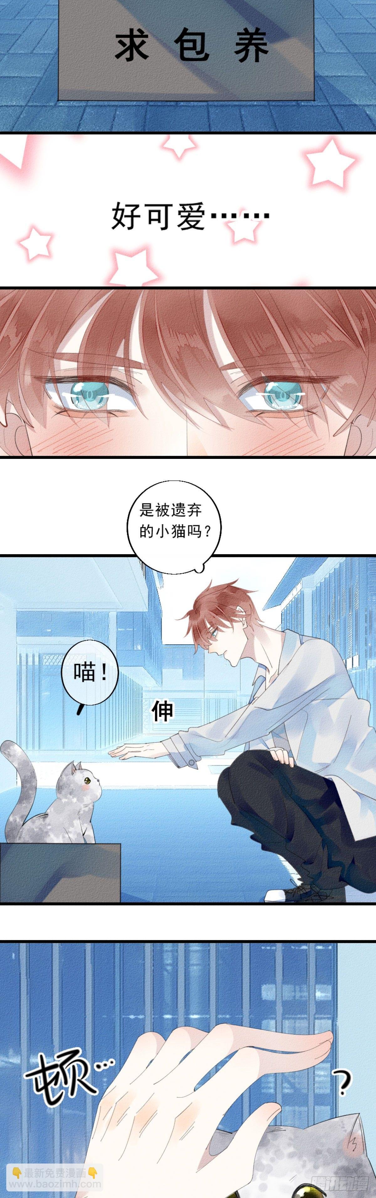1.路遇一只小猫