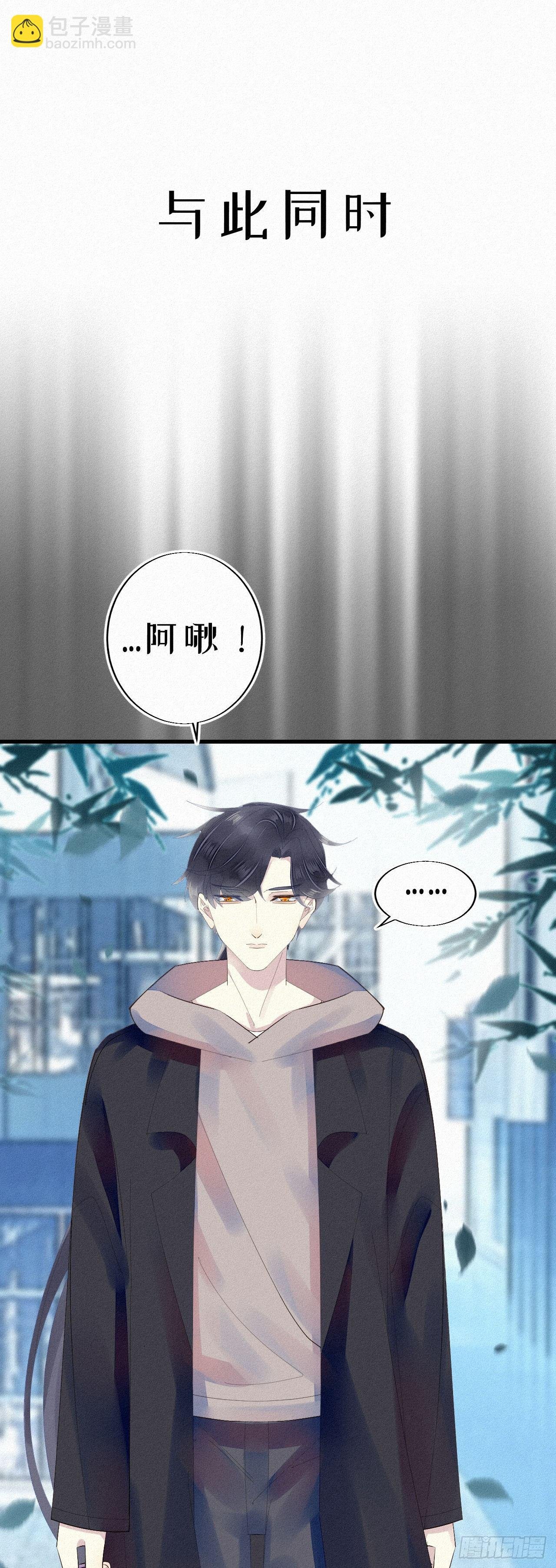 19.诺诺不见了？
