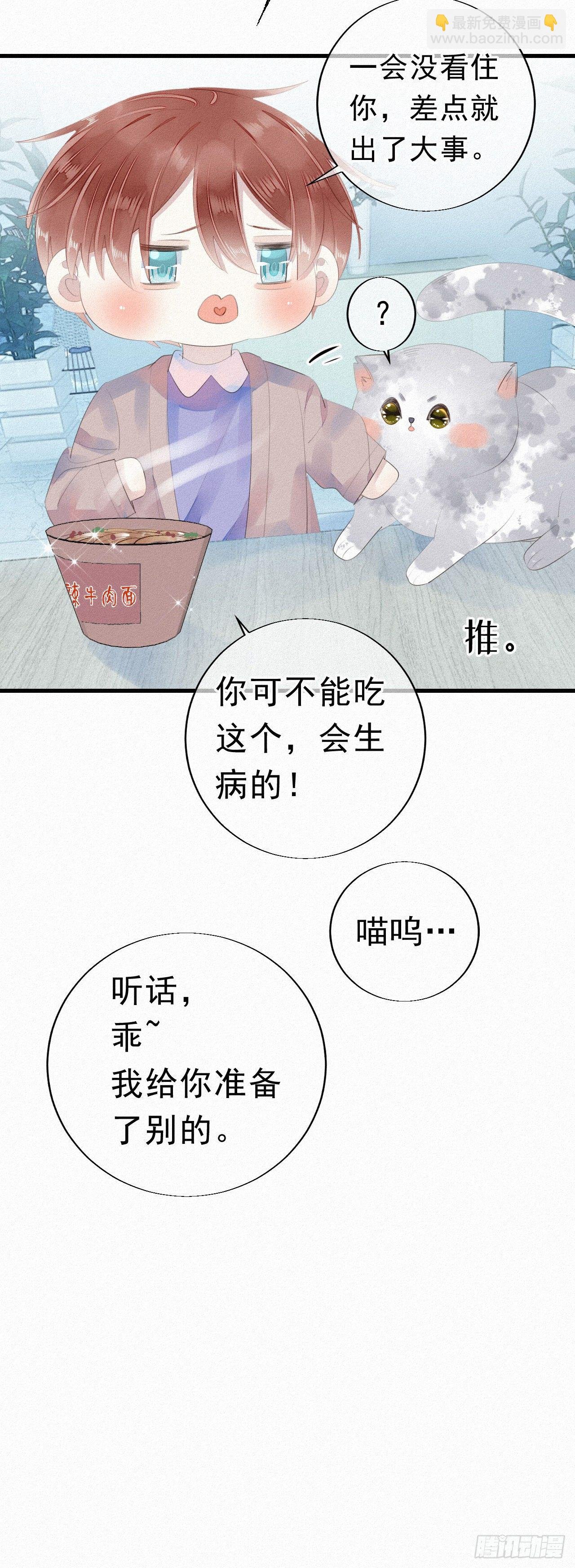 19.诺诺不见了？