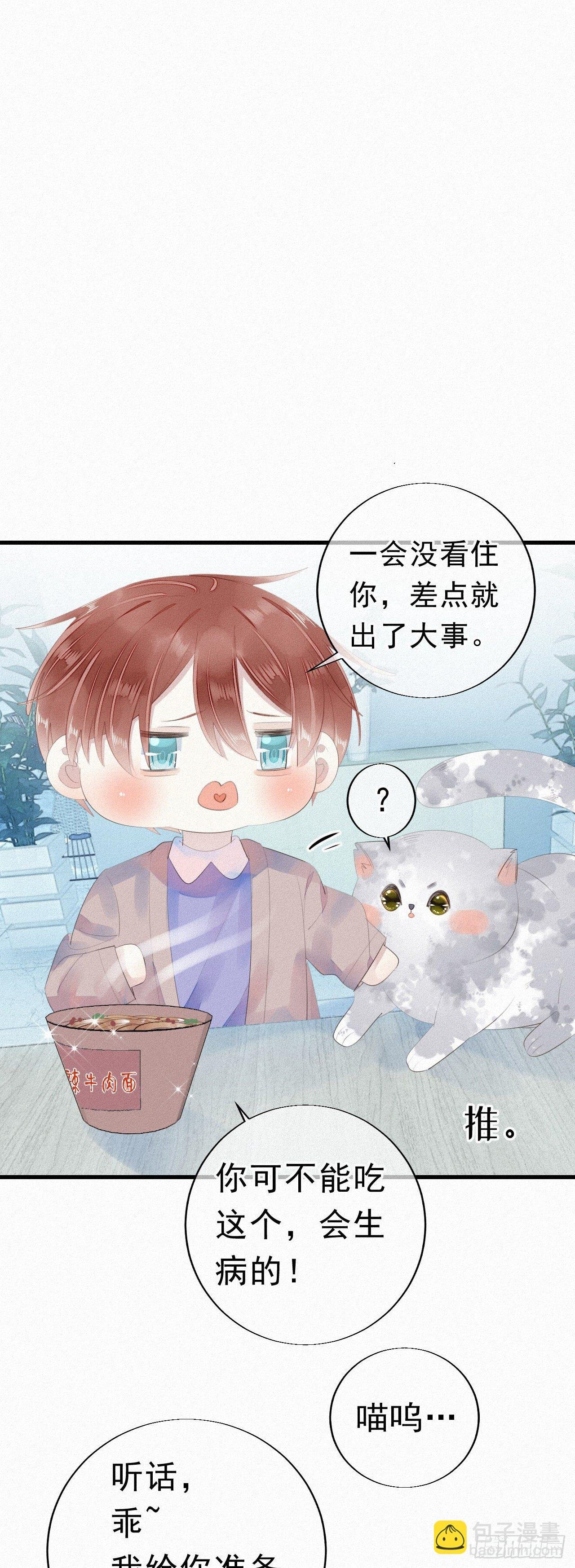20.这小猫还有两幅面孔呢！