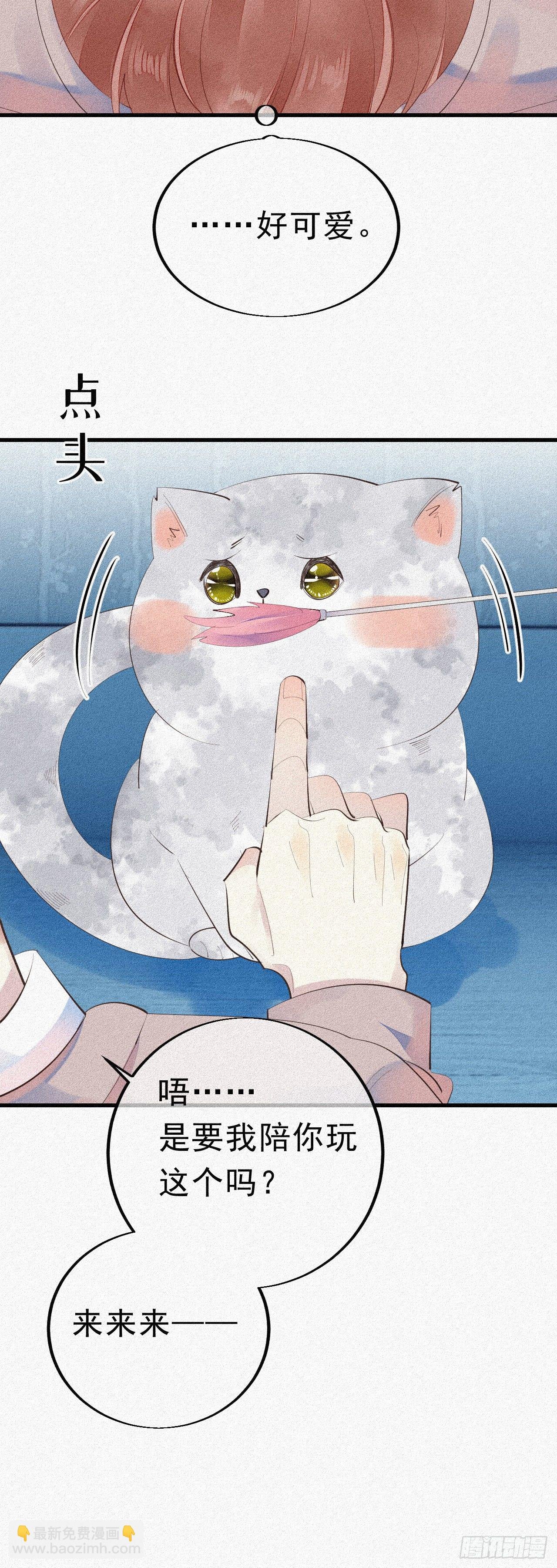 24.逗猫