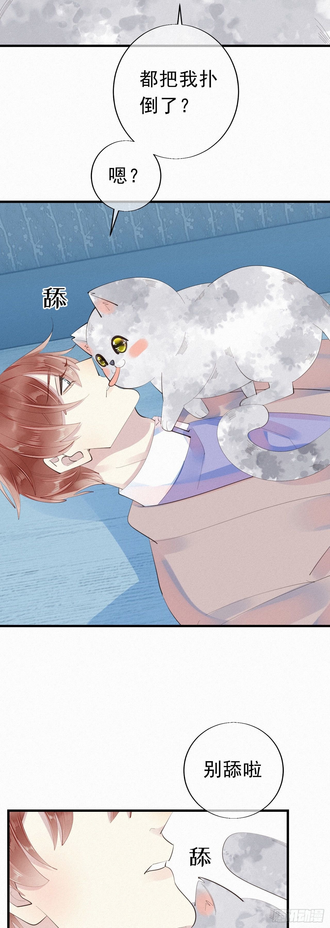 24.逗猫