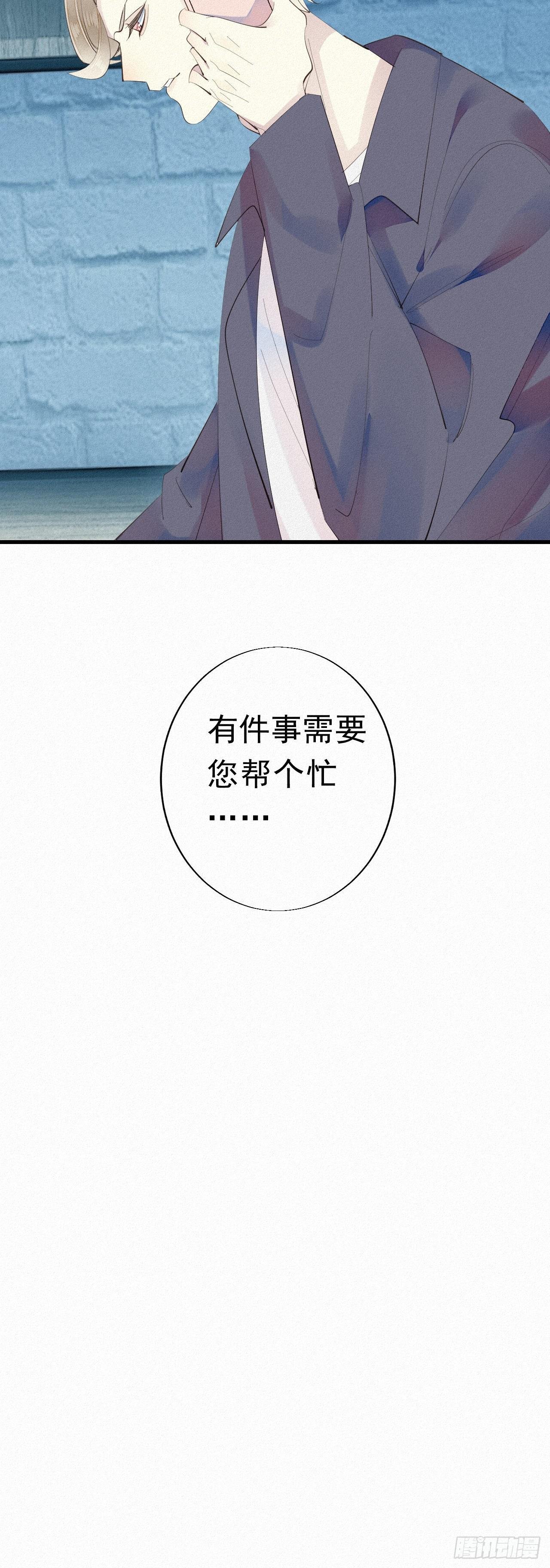 24.逗猫