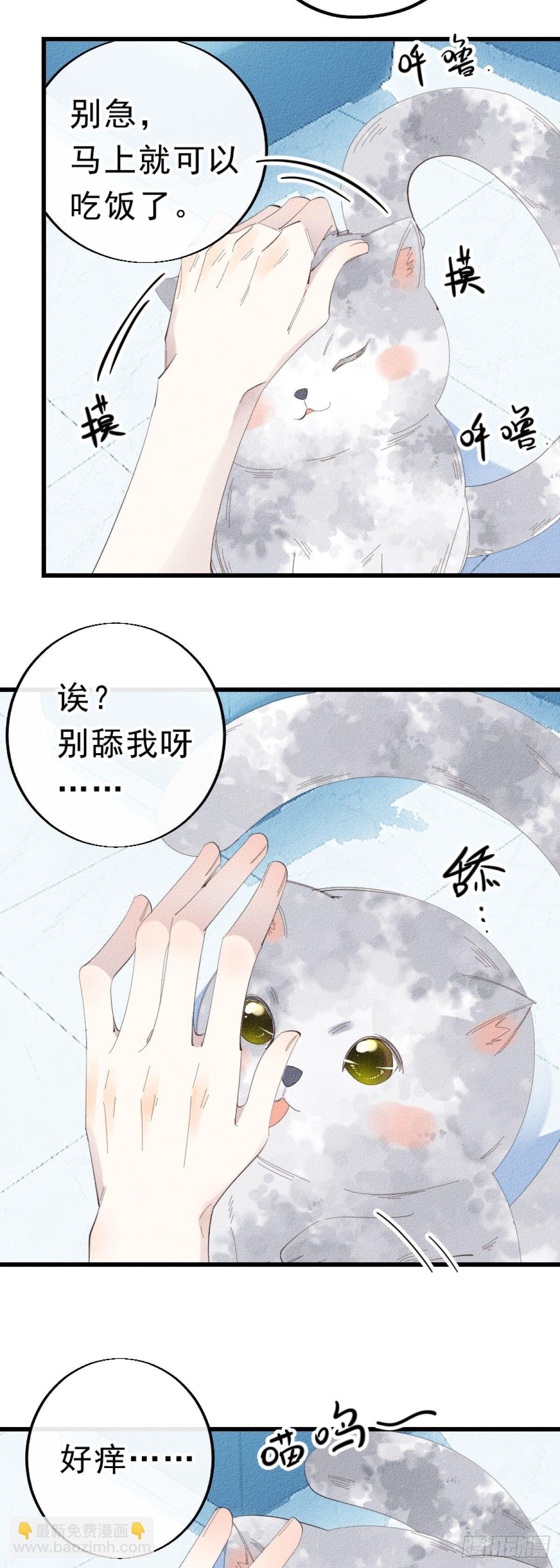 5.终于把小猫咪拐回家了！