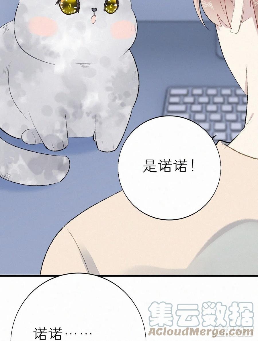 63.人类真是胆小又脆弱