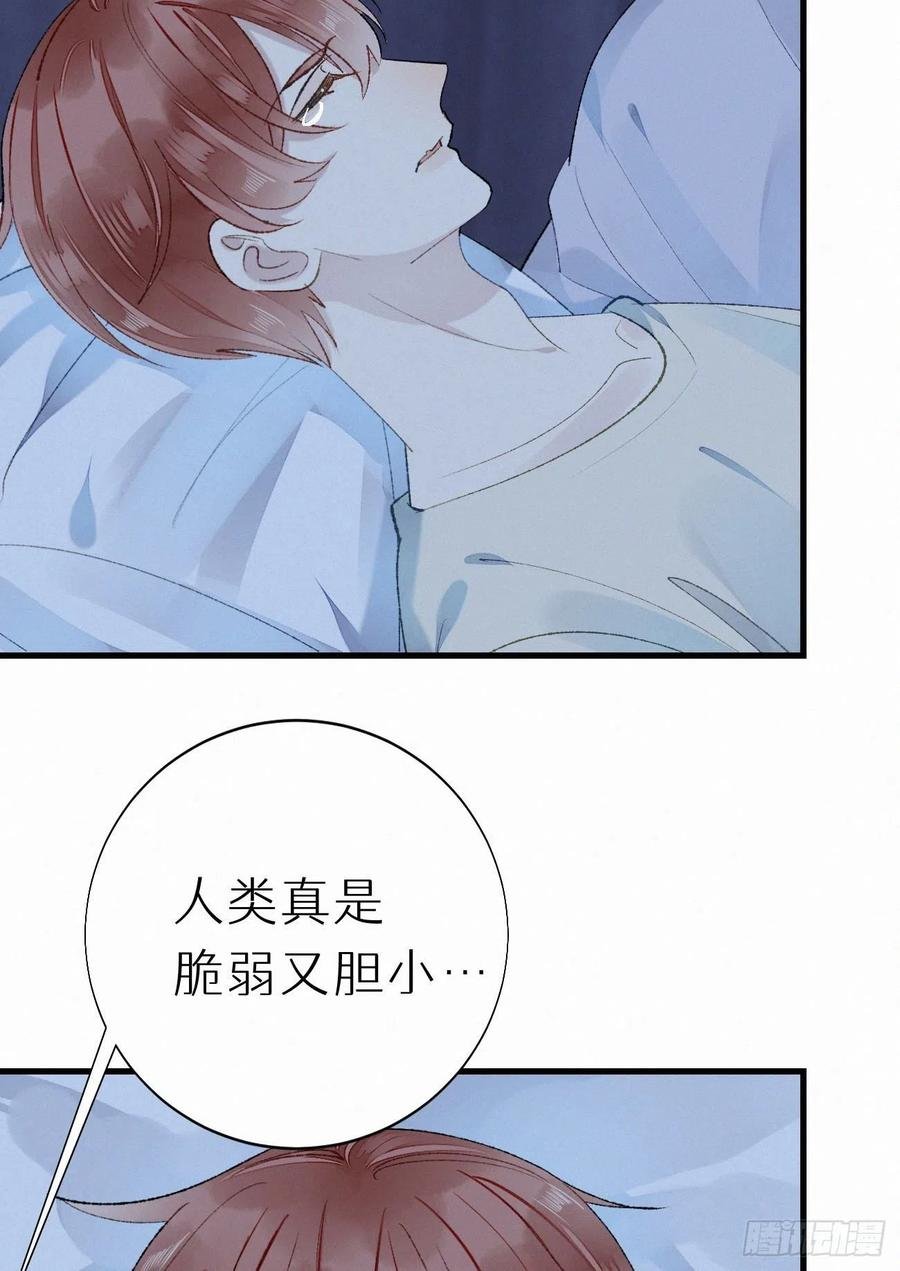 63.人类真是胆小又脆弱