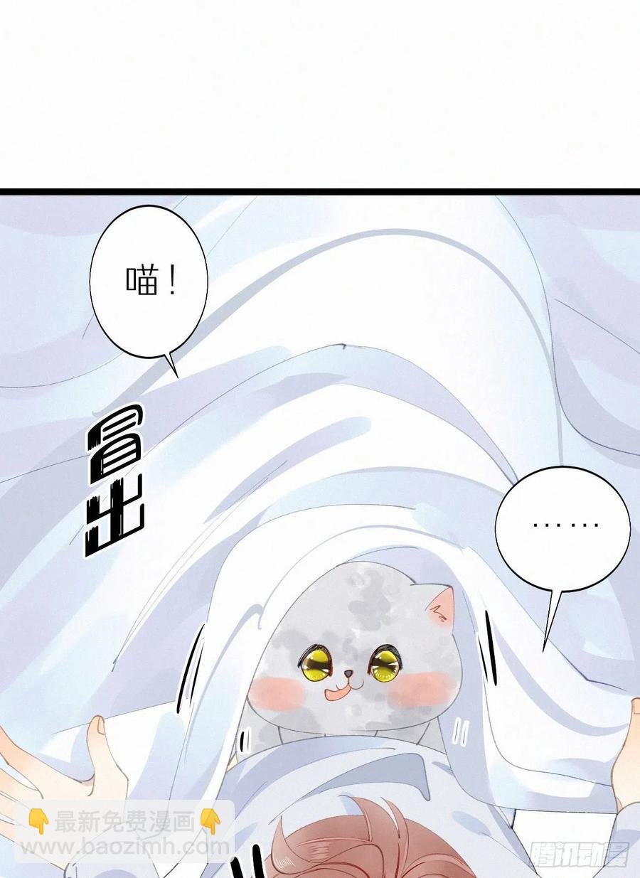 75.是时候安排绝育了