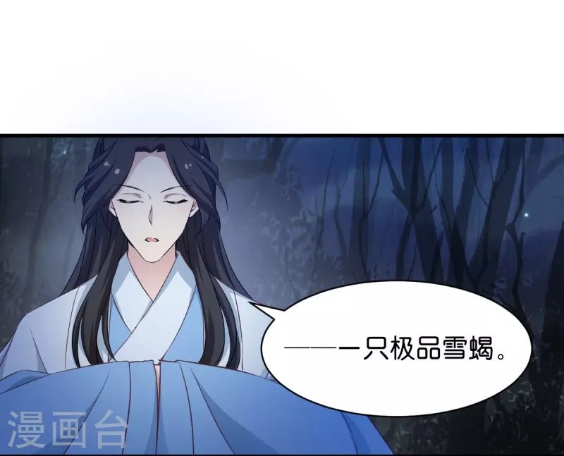 第28话 真相是什么？