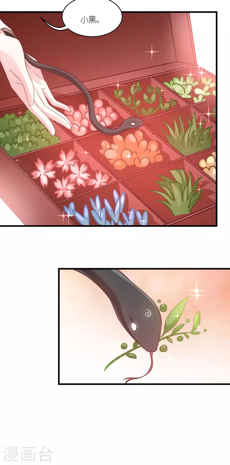 第77话 拍卖会