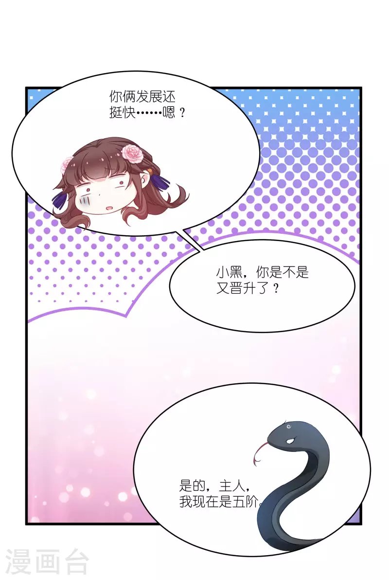 第80话 若失去凤凰