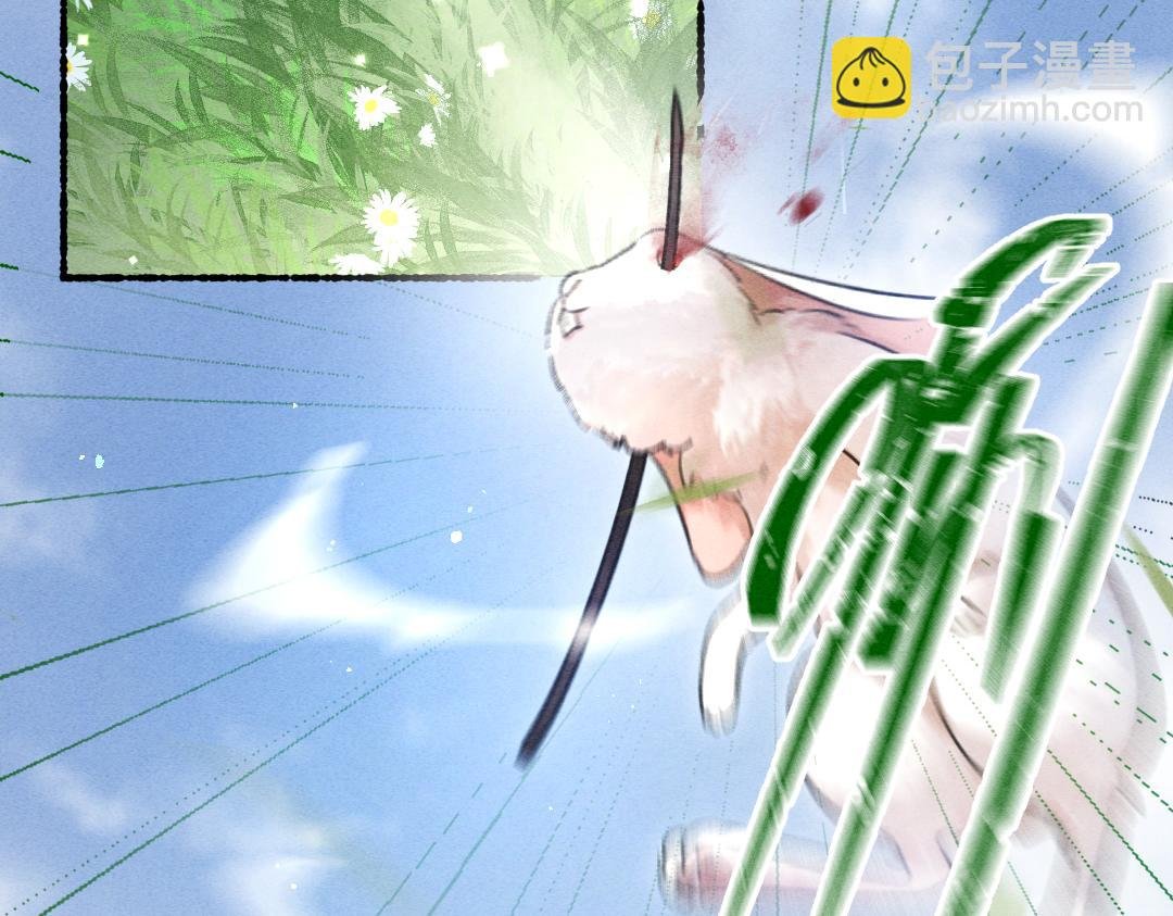 第84话 兔子把戏