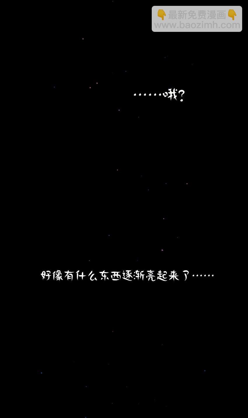 17 黑桃小姐