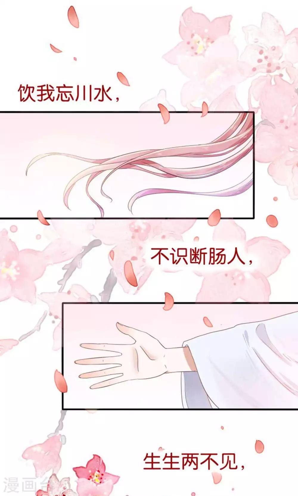预告