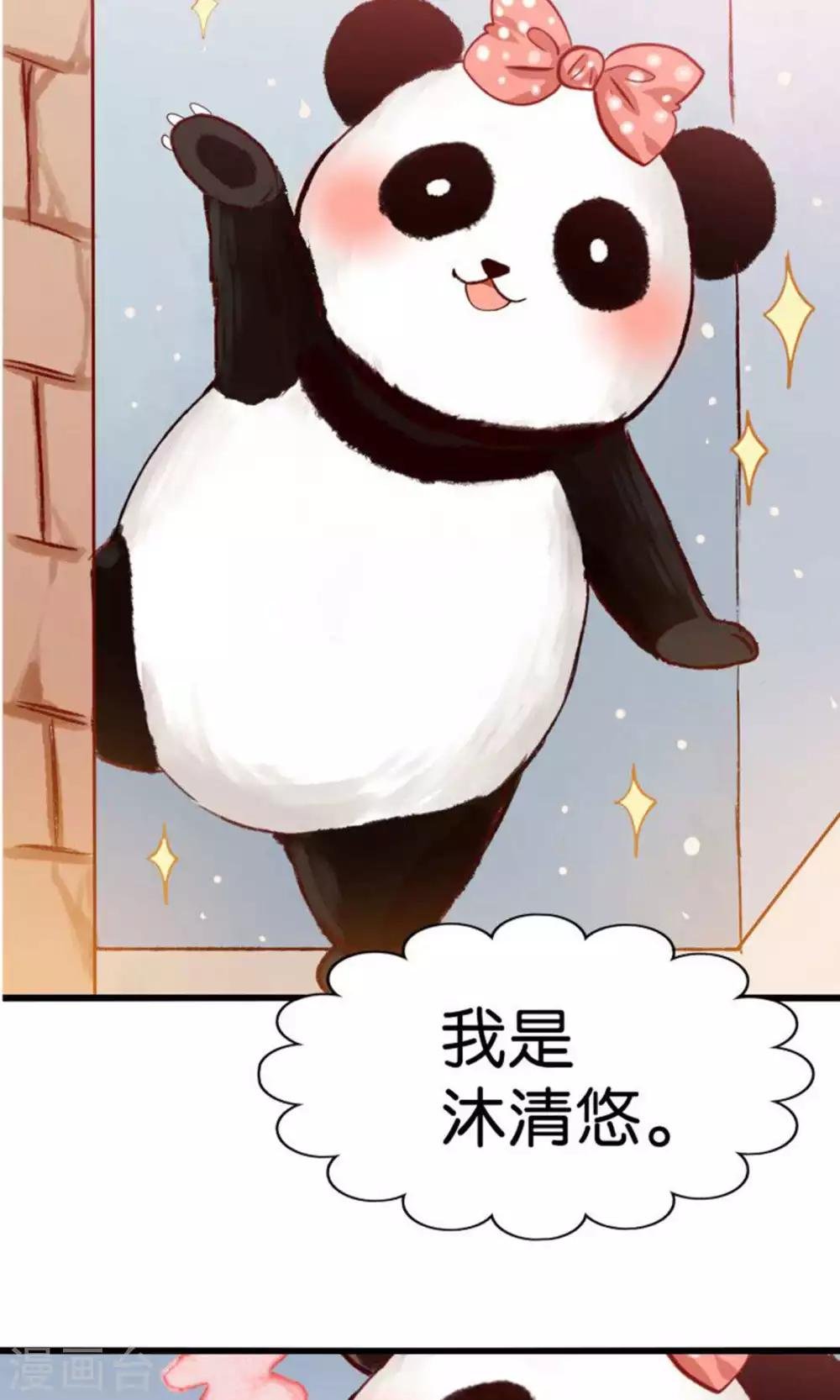 预告