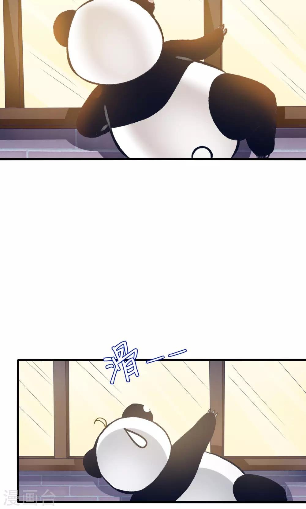 第12话 灵熊出没请注意