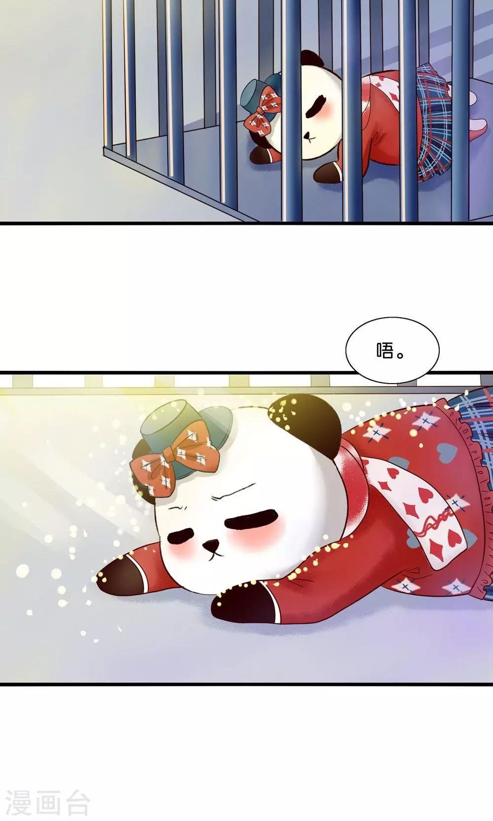 第4话 萌熊拳出击！
