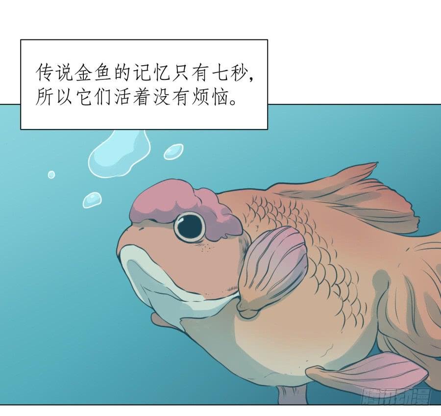 没有你我不行的