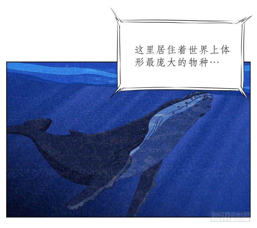 你说，我们的乐队要叫什么名字呢？