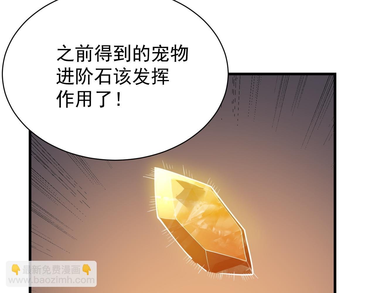 第99话 宠物进阶