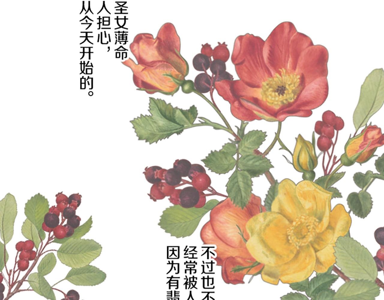 第97话 诞辰庆典
