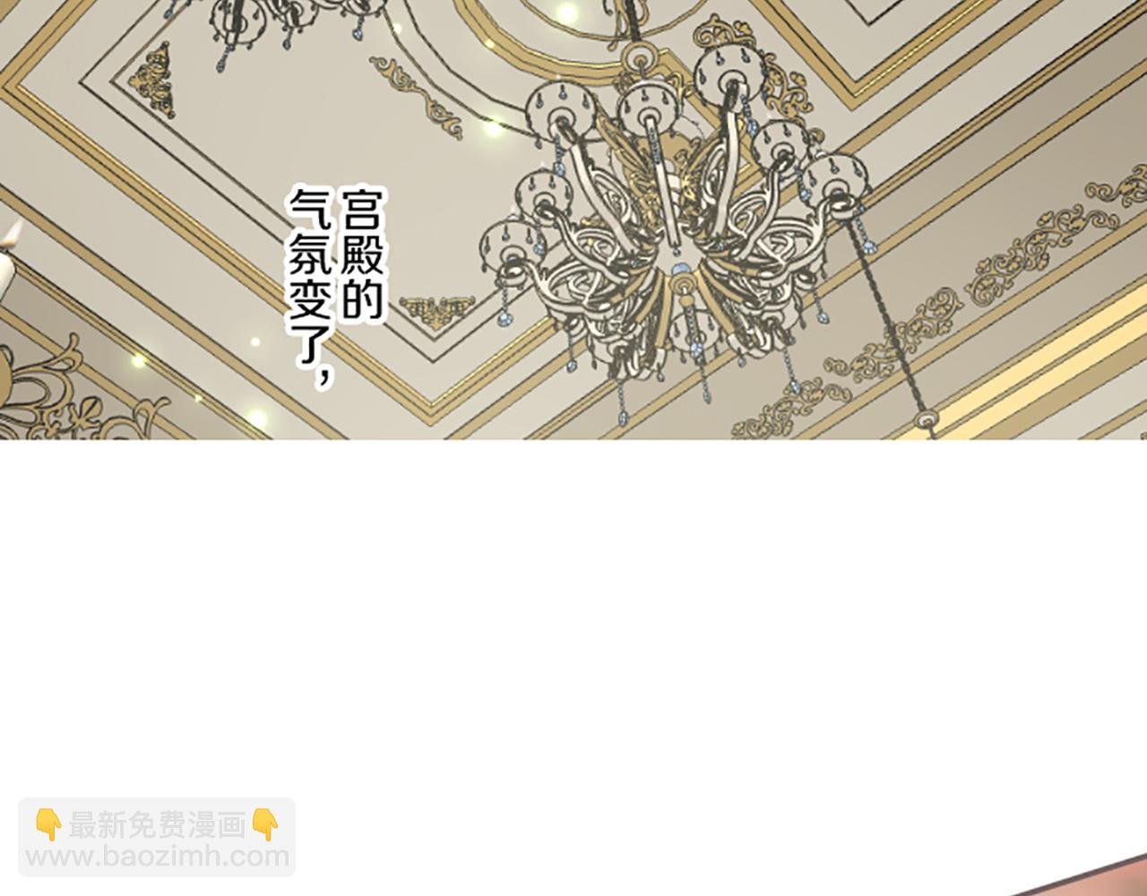 第97话 诞辰庆典