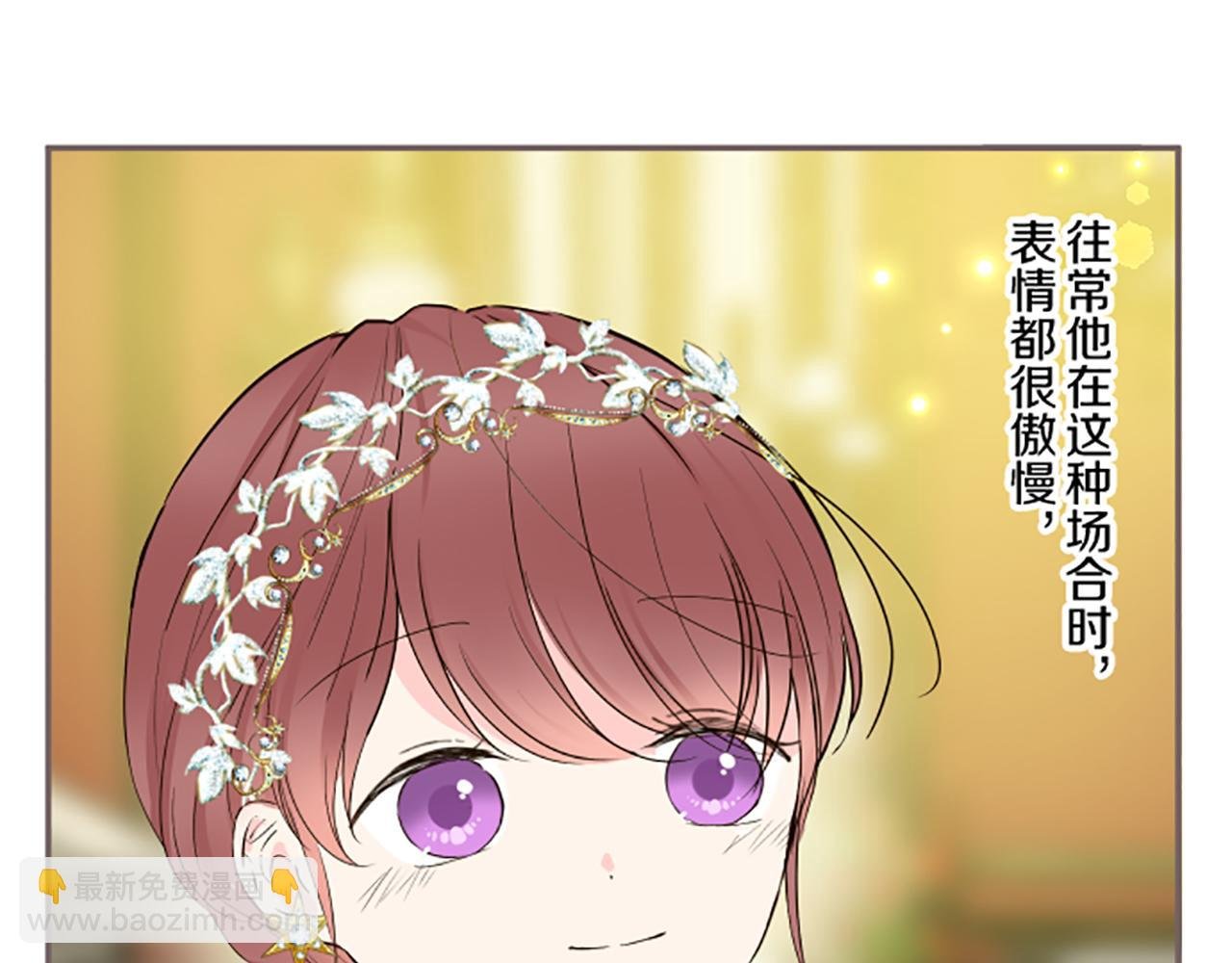 第97话 诞辰庆典