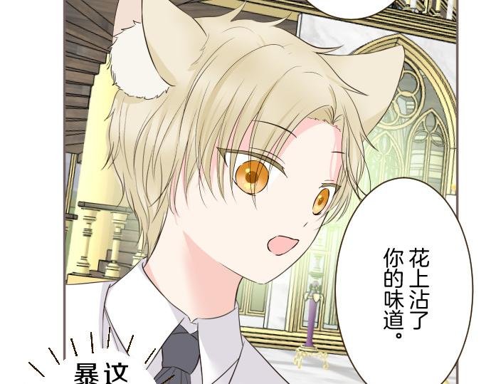 第106话 宣战
