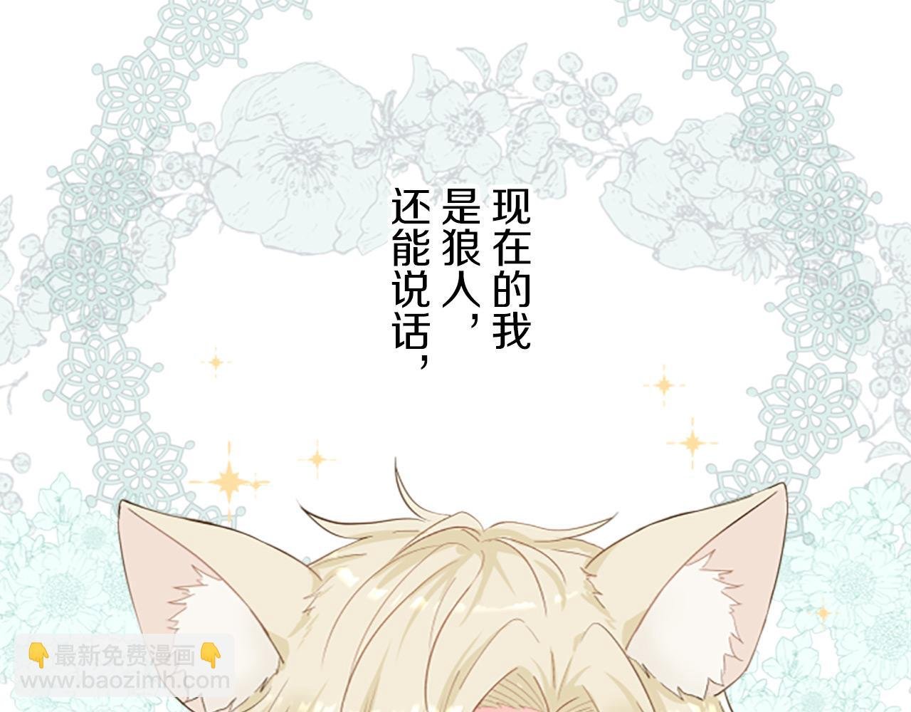 第14话 无法根治