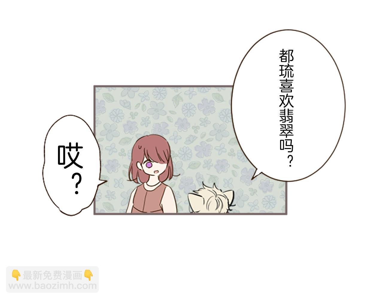 第14话 无法根治