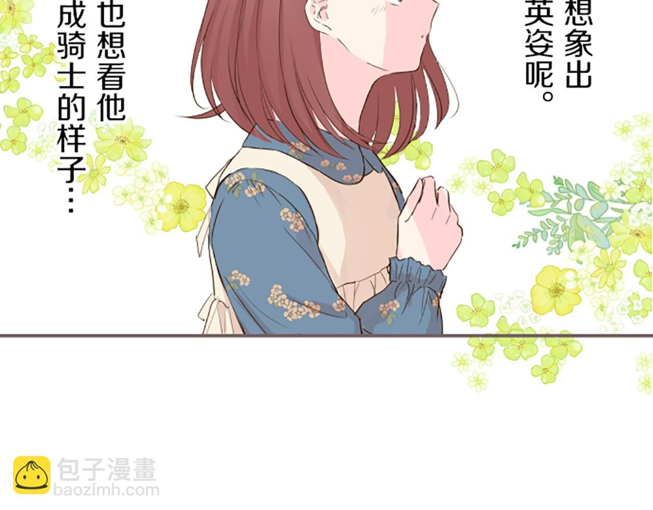 第19话 宫廷骑士