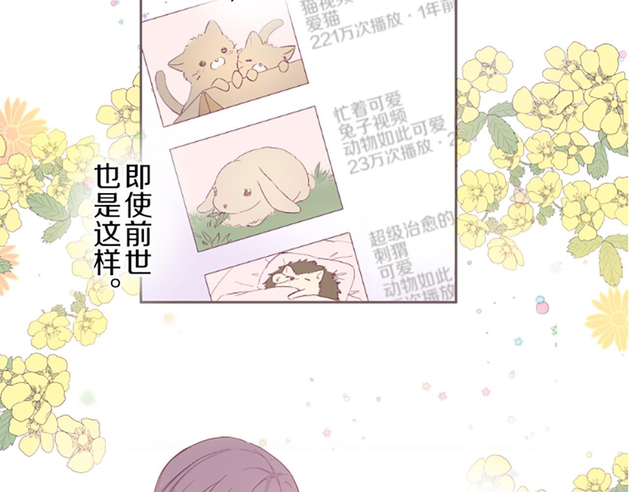 第23话 心动信号
