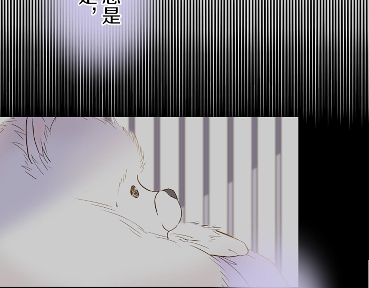 第26话 我想变强