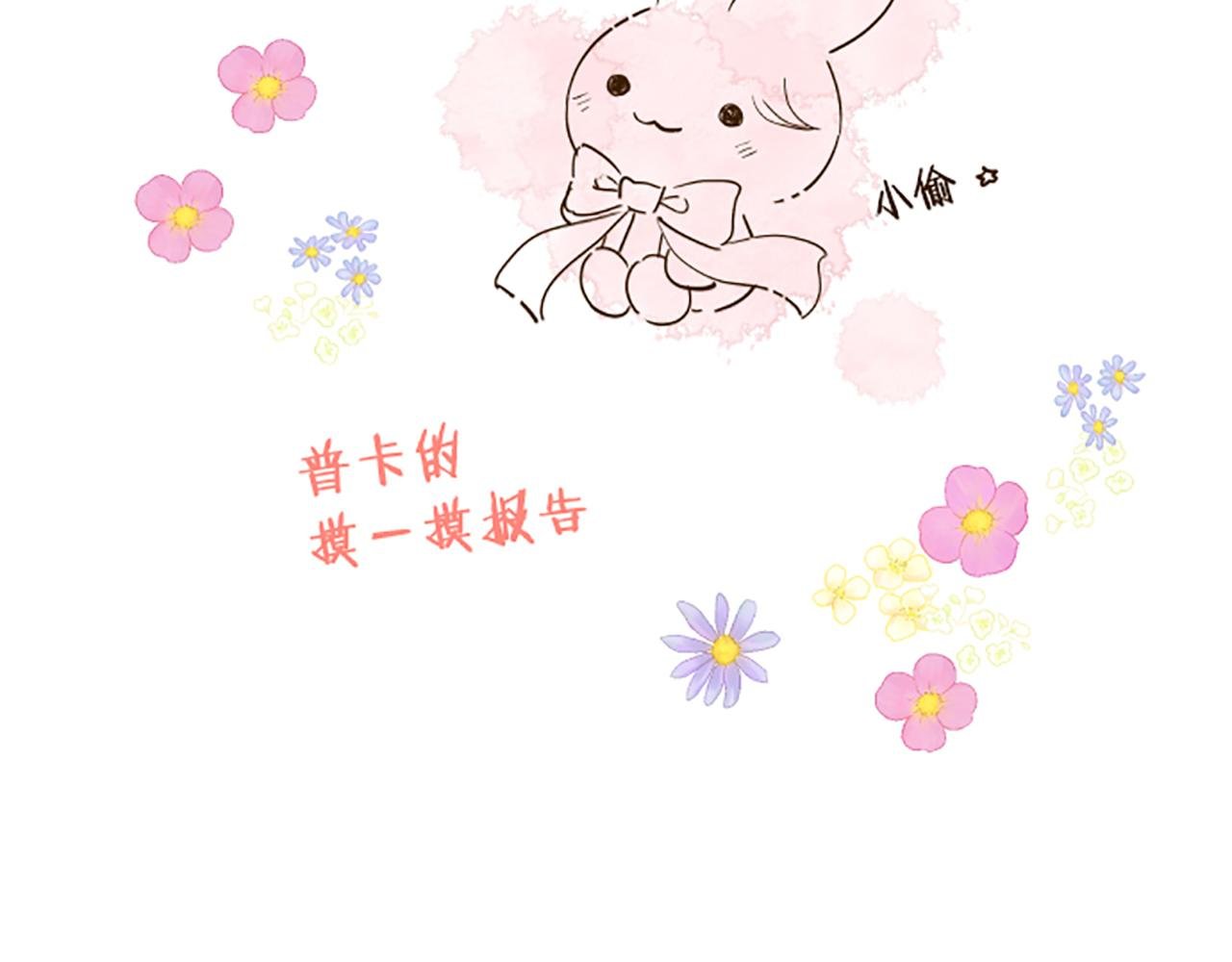 番外篇 普卡的报告