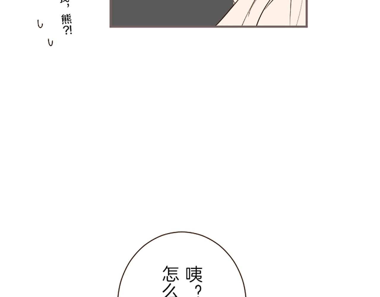 番外篇 毛茸茸的熊