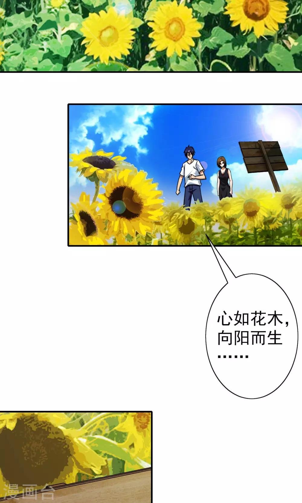 第15话 向日葵