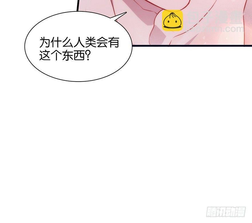 吾栖之肤