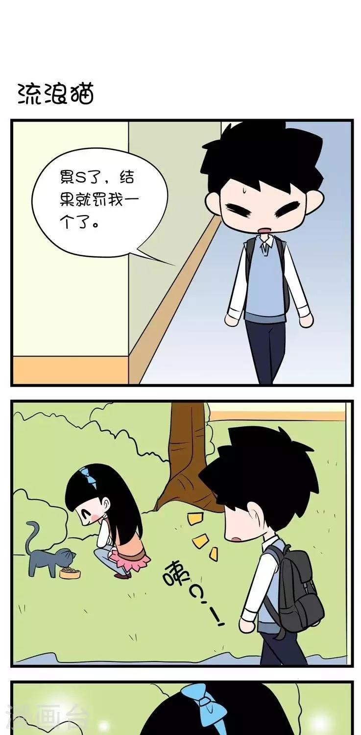 第13话 流浪猫