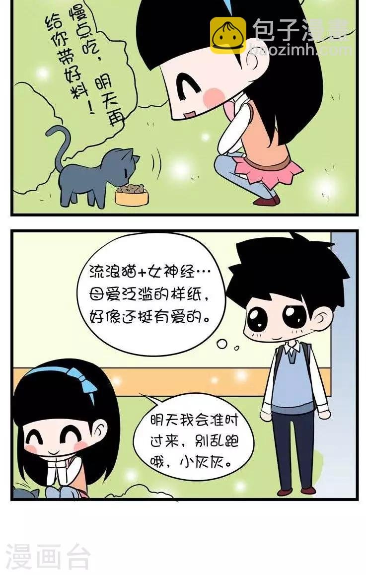 第13话 流浪猫