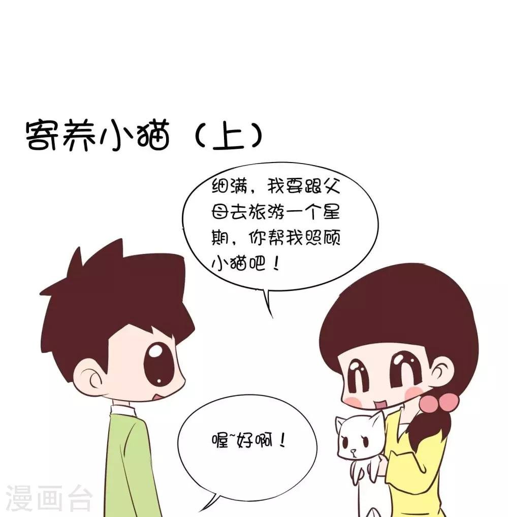 第54话 寄养小猫1