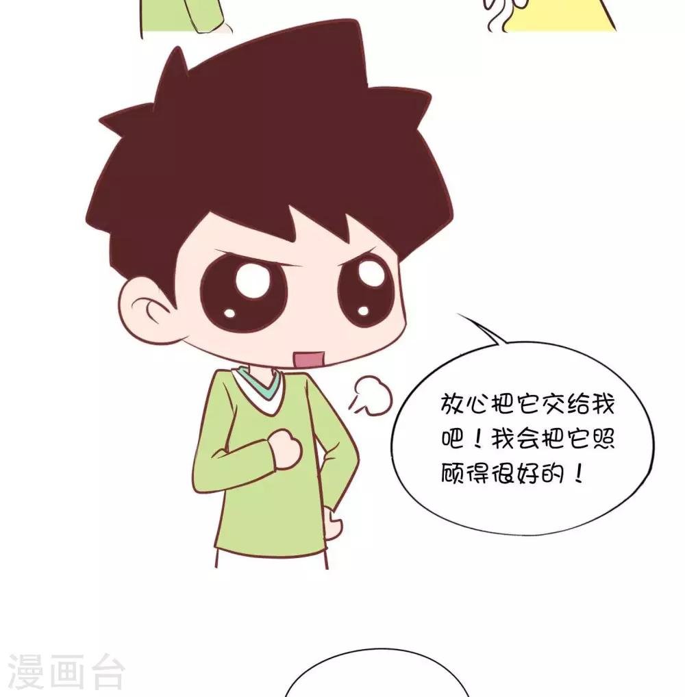 第54话 寄养小猫1