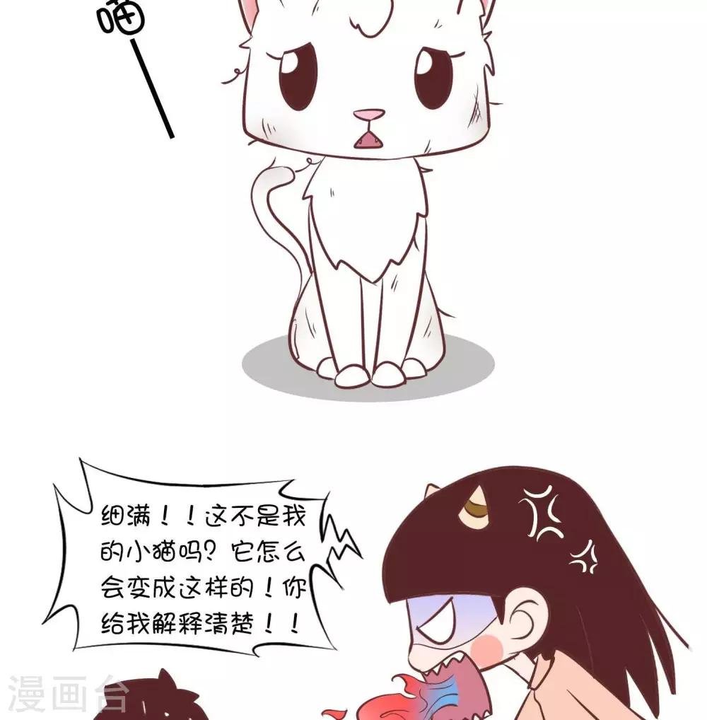 第55话 寄养小猫2