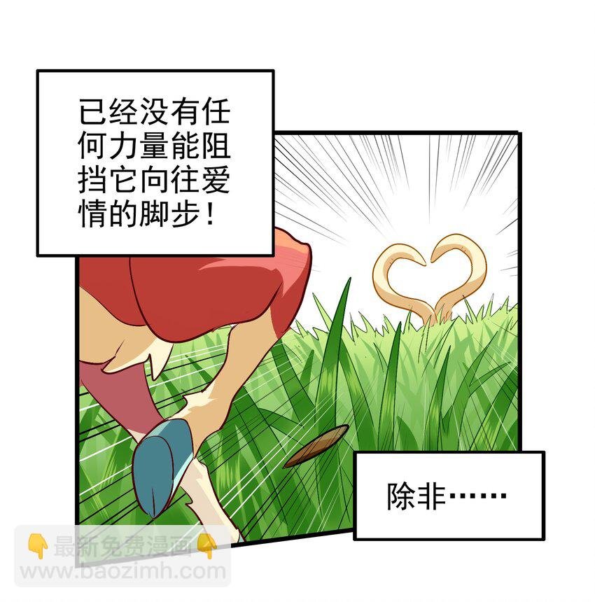 002 大型珍稀保护动物