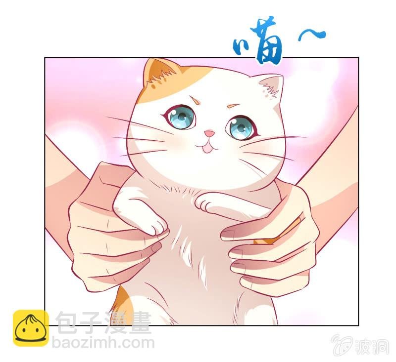 98.追星效应