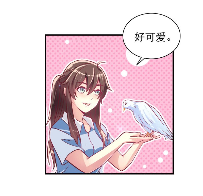 36.欺负你是我的专利