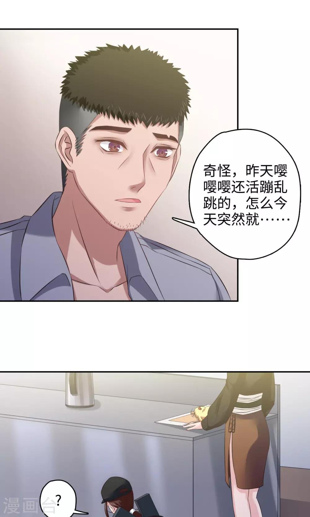 第46话 嘤嘤嘤之死