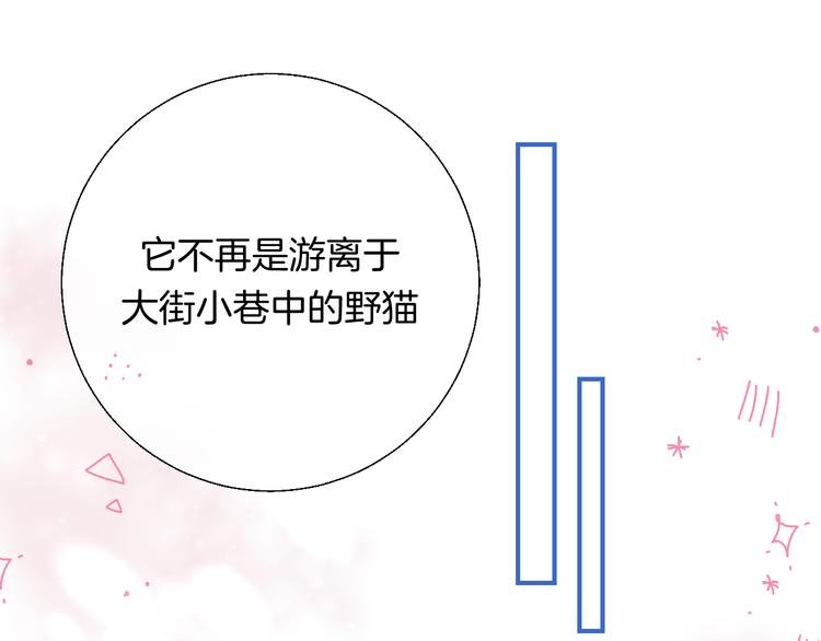 第29话 意外来电